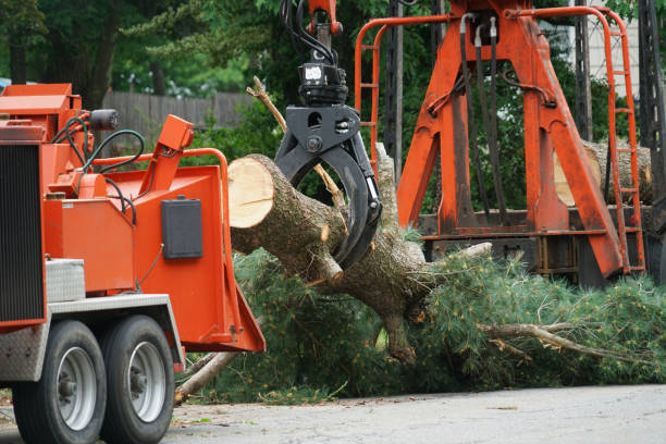 Mulching Services in Kealakekua, HI